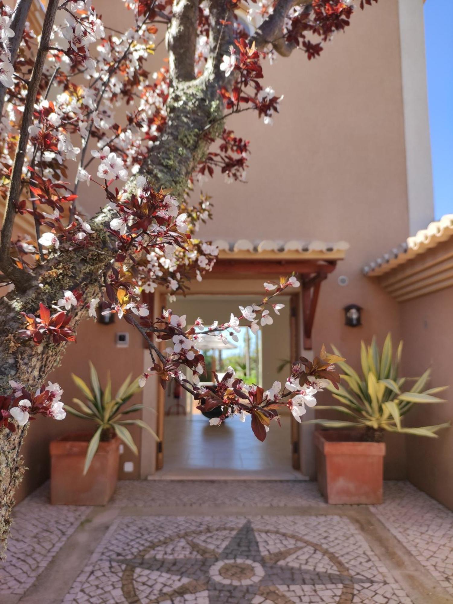 Casa Canavial Praia Da Luz Экстерьер фото